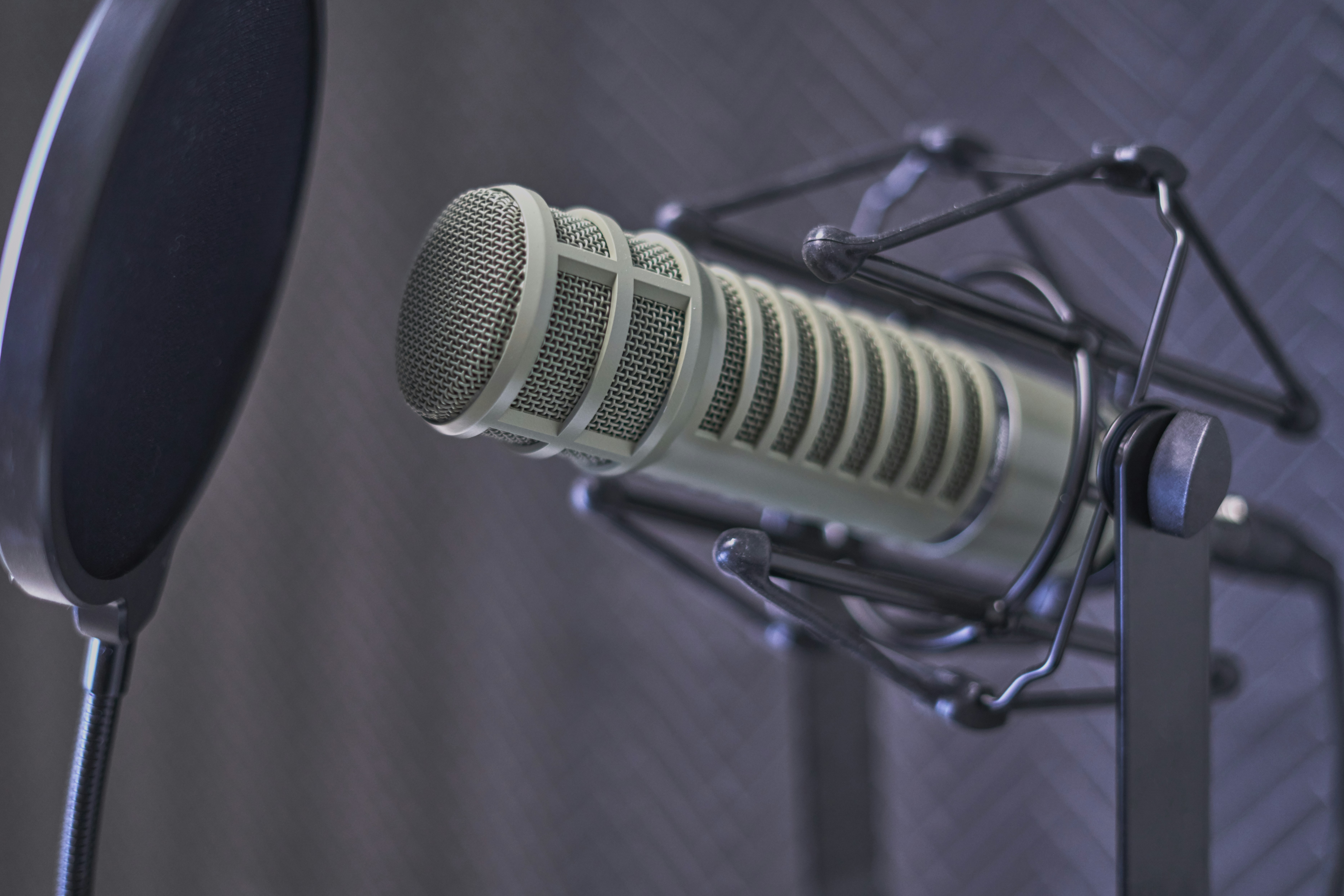 Hiring a Voice Actor for Your Audiobook: Royalty Share vs. Per Finished ...